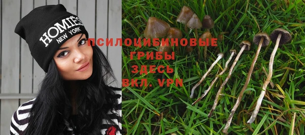 гидропоника Арсеньев