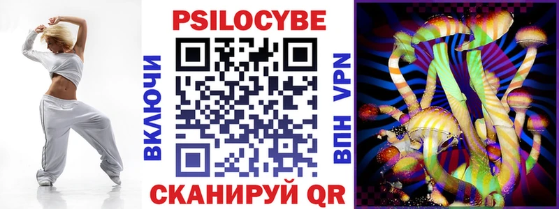 купить наркоту  Стародуб  Галлюциногенные грибы Cubensis 